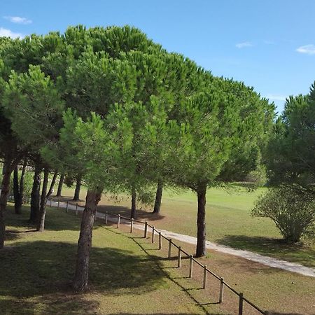 Vert Paradis - Vue Apaisante Sur Golf, Pins Parasols, 2E Etage - 80 M2 Dont Terrasse Avec Pergola, 2 Chambres, 3Et Iles, 3 Clim, Wifi - Piscine, Parking Et Park A Velos, Ascenseur - En Option Linge, Menage - Pistes Cyclables, Mer A Proximite Saint-Cyprien  Exteriér fotografie