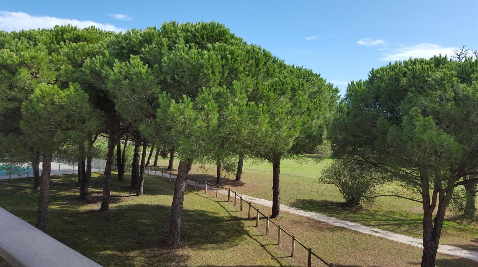 Vert Paradis - Vue Apaisante Sur Golf, Pins Parasols, 2E Etage - 80 M2 Dont Terrasse Avec Pergola, 2 Chambres, 3Et Iles, 3 Clim, Wifi - Piscine, Parking Et Park A Velos, Ascenseur - En Option Linge, Menage - Pistes Cyclables, Mer A Proximite Saint-Cyprien  Exteriér fotografie