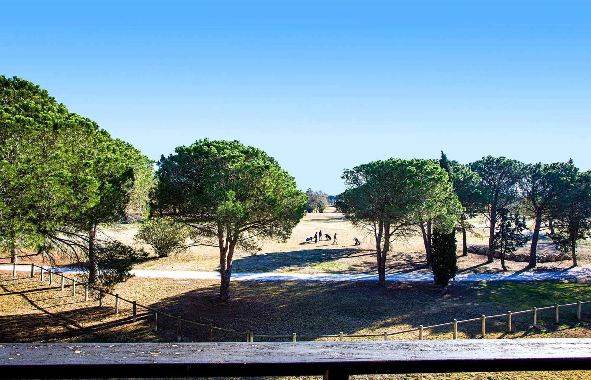 Vert Paradis - Vue Apaisante Sur Golf, Pins Parasols, 2E Etage - 80 M2 Dont Terrasse Avec Pergola, 2 Chambres, 3Et Iles, 3 Clim, Wifi - Piscine, Parking Et Park A Velos, Ascenseur - En Option Linge, Menage - Pistes Cyclables, Mer A Proximite Saint-Cyprien  Exteriér fotografie